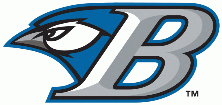 Bluefield Blue Jays 2011 Primary Logo iron on transfers for T-shirts